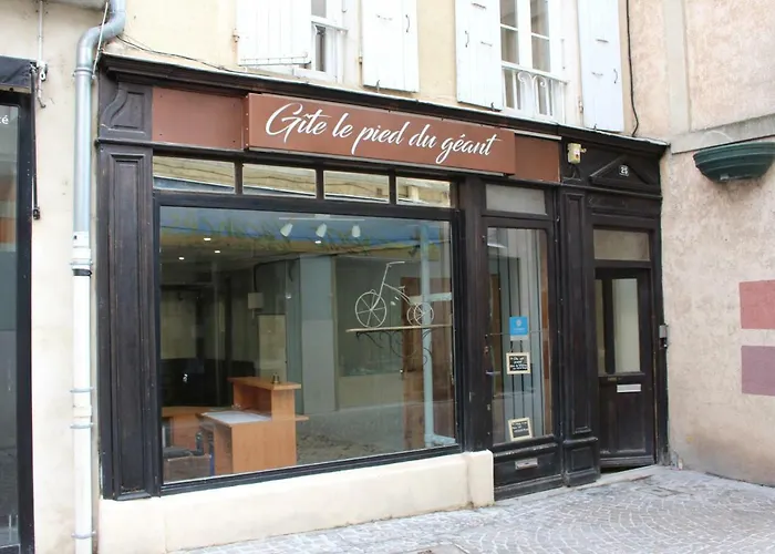 Le Pied Du Geant - Local Securise Pour Les Velos 罗纳河畔的图尔农